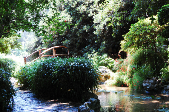 Zilker Botanical gardens